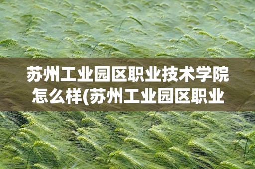 苏州工业园区职业技术学院怎么样(苏州工业园区职业技术学院怎么样知乎)