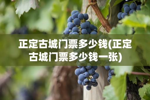 正定古城门票多少钱(正定古城门票多少钱一张)