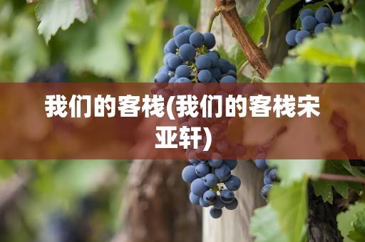我们的客栈(我们的客栈宋亚轩)