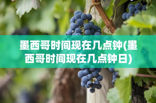 墨西哥时间现在几点钟(墨西哥时间现在几点钟日)