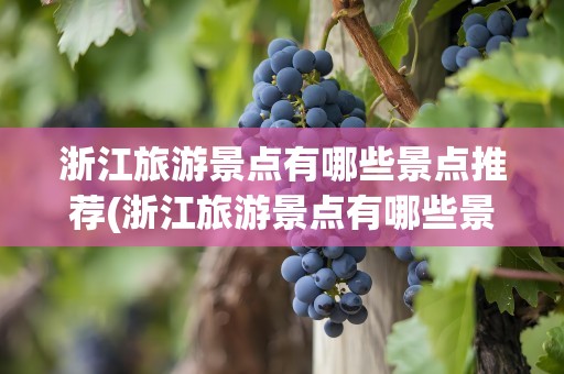 浙江旅游景点有哪些景点推荐(浙江旅游景点有哪些景点推荐的)