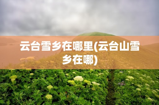 云台雪乡在哪里(云台山雪乡在哪)