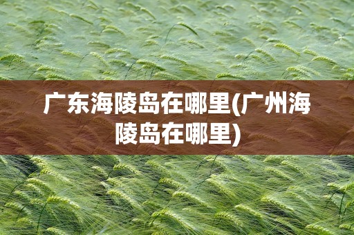 广东海陵岛在哪里(广州海陵岛在哪里)
