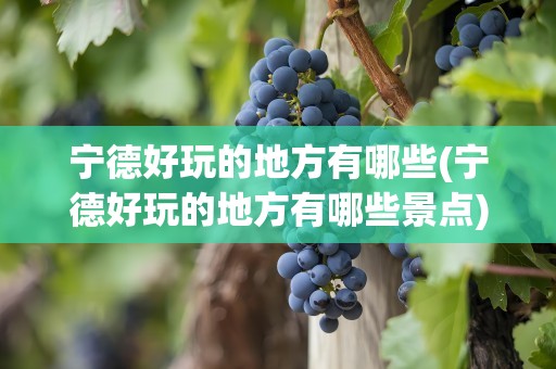宁德好玩的地方有哪些(宁德好玩的地方有哪些景点)