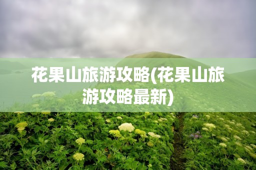 花果山旅游攻略(花果山旅游攻略最新)