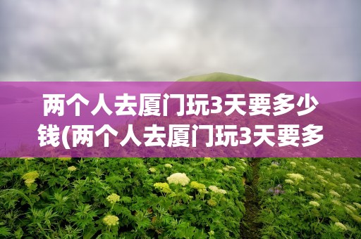 两个人去厦门玩3天要多少钱(两个人去厦门玩3天要多少钱合适)