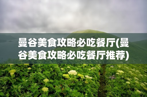 曼谷美食攻略必吃餐厅(曼谷美食攻略必吃餐厅推荐)