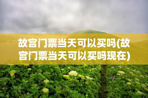 故宫门票当天可以买吗(故宫门票当天可以买吗现在)