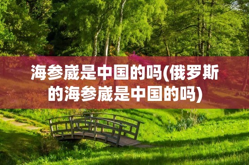 海参崴是中国的吗(俄罗斯的海参崴是中国的吗)