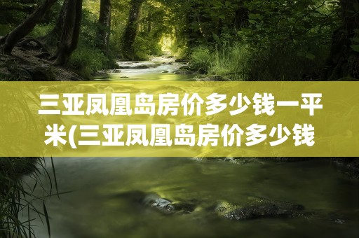 三亚凤凰岛房价多少钱一平米(三亚凤凰岛房价多少钱一平米啊)