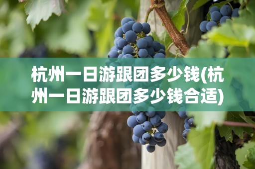 杭州一日游跟团多少钱(杭州一日游跟团多少钱合适)