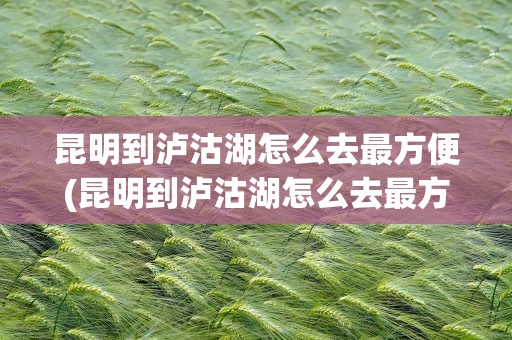昆明到泸沽湖怎么去最方便(昆明到泸沽湖怎么去最方便呢)