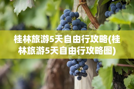 桂林旅游5天自由行攻略(桂林旅游5天自由行攻略图)