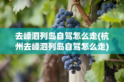 去嵊泗列岛自驾怎么走(杭州去嵊泗列岛自驾怎么走)