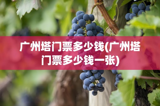 广州塔门票多少钱(广州塔门票多少钱一张)