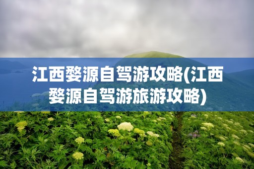 江西婺源自驾游攻略(江西婺源自驾游旅游攻略)