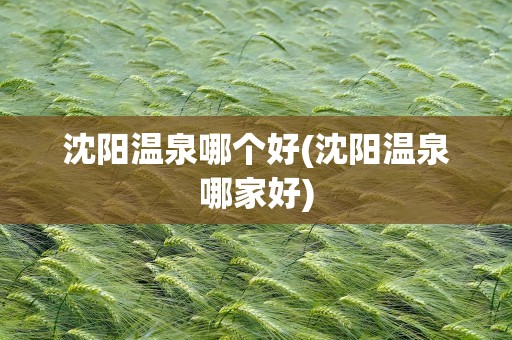 沈阳温泉哪个好(沈阳温泉哪家好)