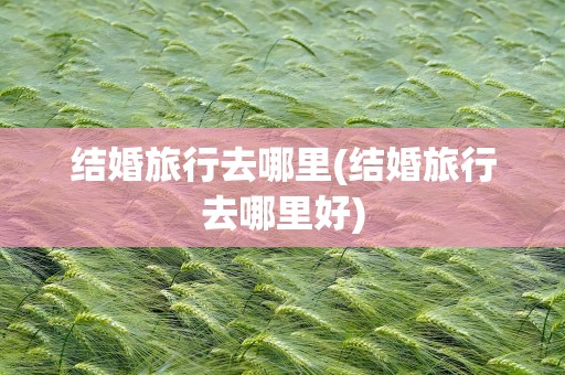 结婚旅行去哪里(结婚旅行去哪里好)