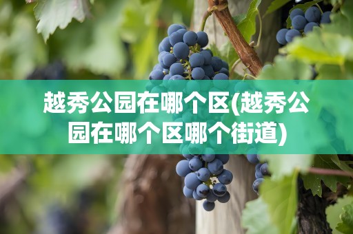 越秀公园在哪个区(越秀公园在哪个区哪个街道)