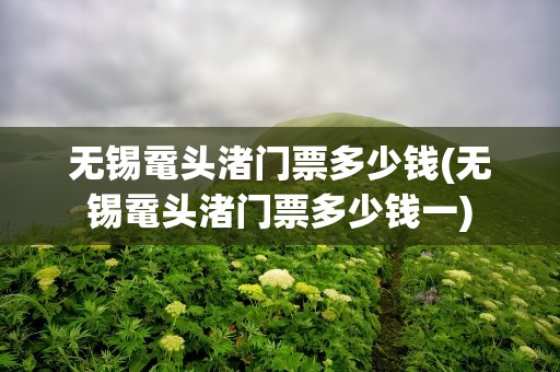 无锡鼋头渚门票多少钱(无锡鼋头渚门票多少钱一)