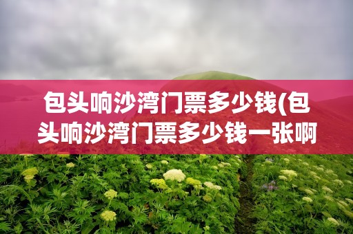 包头响沙湾门票多少钱(包头响沙湾门票多少钱一张啊)