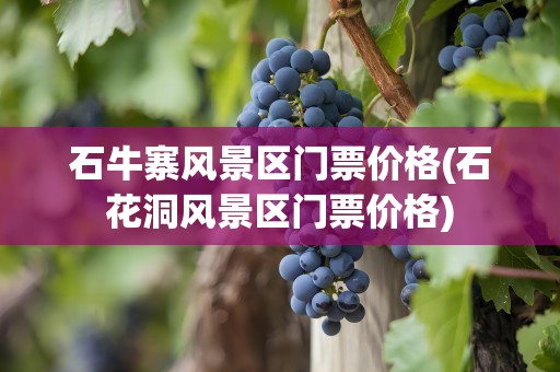 石牛寨风景区门票价格(石花洞风景区门票价格)