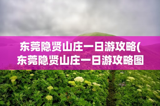 东莞隐贤山庄一日游攻略(东莞隐贤山庄一日游攻略图)