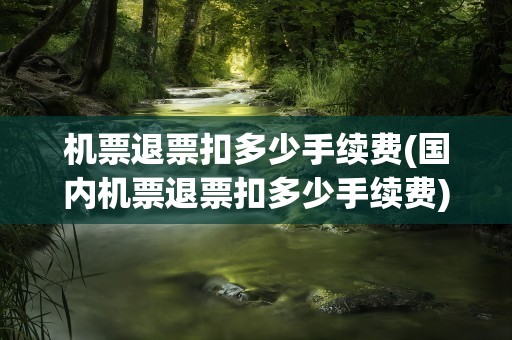 机票退票扣多少手续费(国内机票退票扣多少手续费)