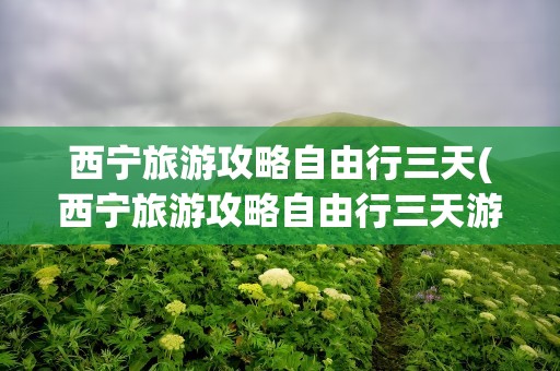 西宁旅游攻略自由行三天(西宁旅游攻略自由行三天游)