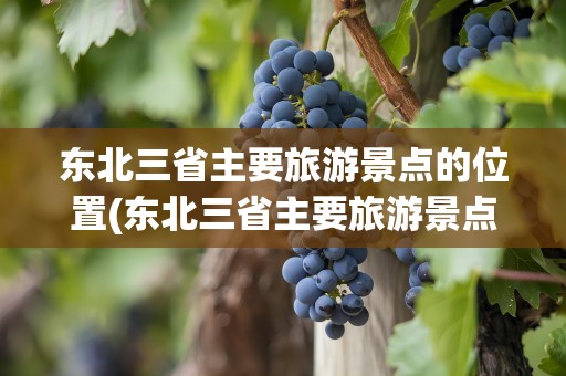 东北三省主要旅游景点的位置(东北三省主要旅游景点的位置是)