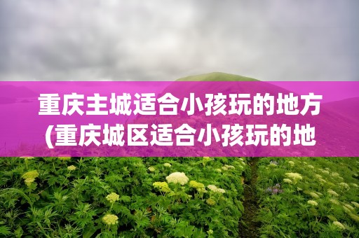 重庆主城适合小孩玩的地方(重庆城区适合小孩玩的地方)