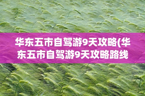 华东五市自驾游9天攻略(华东五市自驾游9天攻略路线)