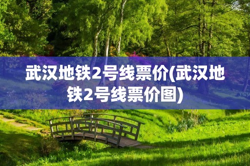 武汉地铁2号线票价(武汉地铁2号线票价图)
