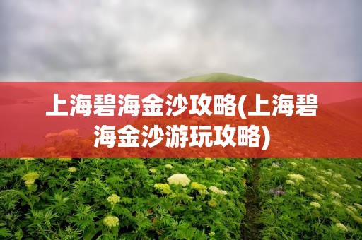 上海碧海金沙攻略(上海碧海金沙游玩攻略)