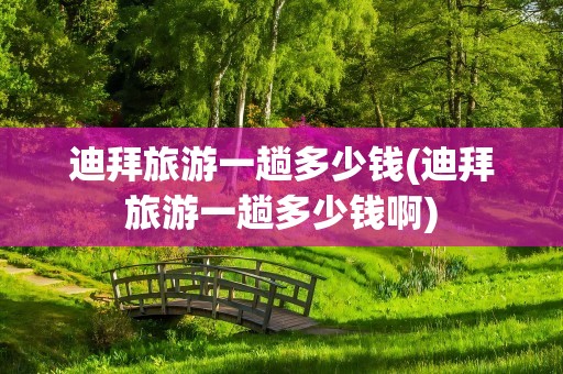 迪拜旅游一趟多少钱(迪拜旅游一趟多少钱啊)