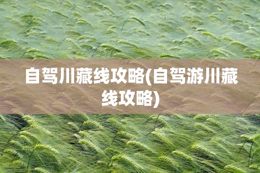自驾川藏线攻略(自驾游川藏线攻略)
