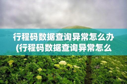 行程码数据查询异常怎么办(行程码数据查询异常怎么办啊)