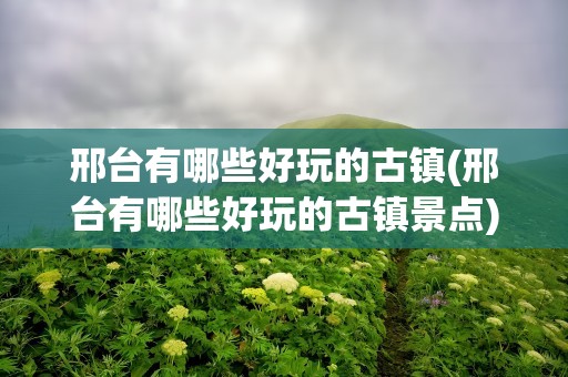邢台有哪些好玩的古镇(邢台有哪些好玩的古镇景点)