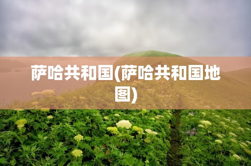萨哈共和国(萨哈共和国地图)