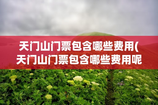 天门山门票包含哪些费用(天门山门票包含哪些费用呢)
