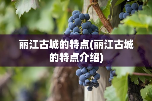 丽江古城的特点(丽江古城的特点介绍)