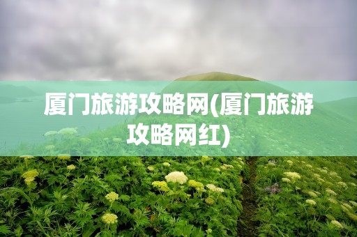 厦门旅游攻略网(厦门旅游攻略网红)