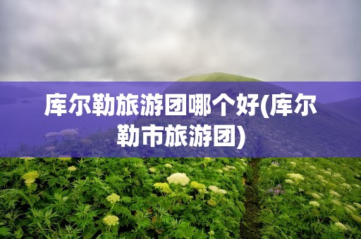 库尔勒旅游团哪个好(库尔勒市旅游团)