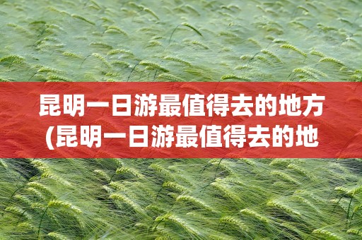昆明一日游最值得去的地方(昆明一日游最值得去的地方有哪些)