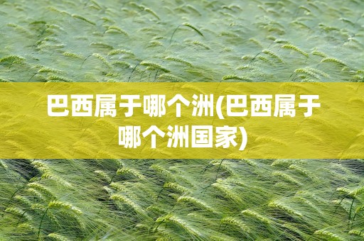 巴西属于哪个洲(巴西属于哪个洲国家)