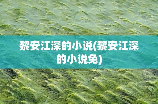 黎安江深的小说(黎安江深的小说免)