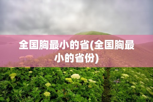 全国胸最小的省(全国胸最小的省份)