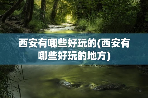 西安有哪些好玩的(西安有哪些好玩的地方)