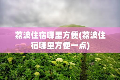 荔波住宿哪里方便(荔波住宿哪里方便一点)