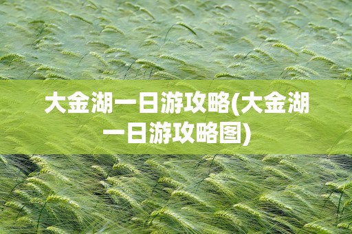 大金湖一日游攻略(大金湖一日游攻略图)